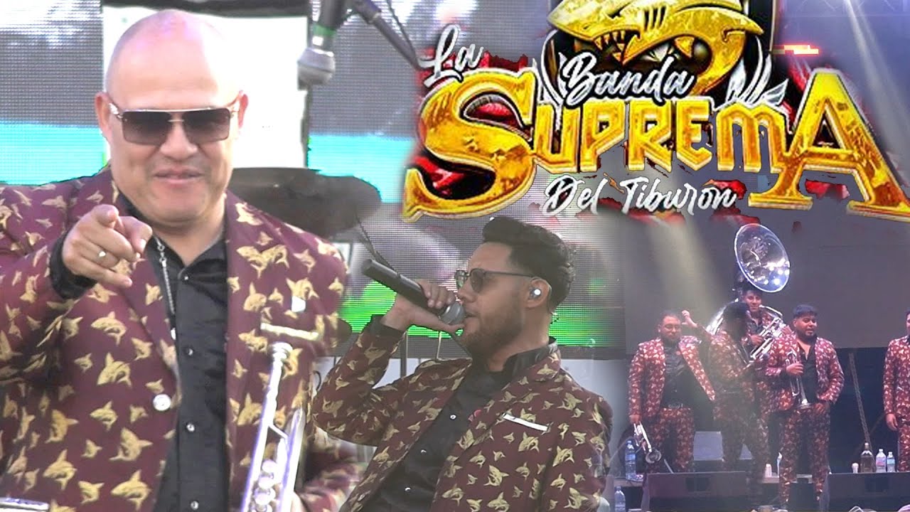 LA SUPREMA DEL TIBURON l en vivo 2025