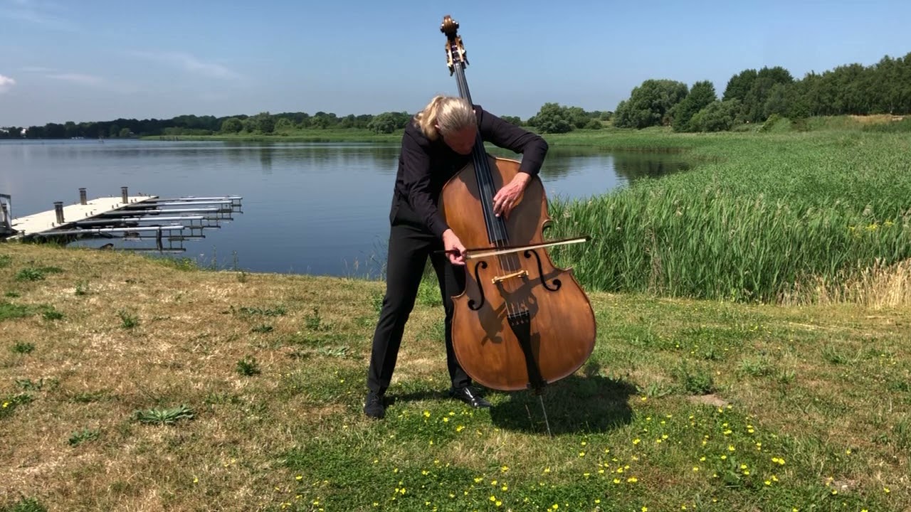 Tarantella in E-Moll von Franz Simandl (1840-1912), Op.73 gespielt von Michael Brzoska