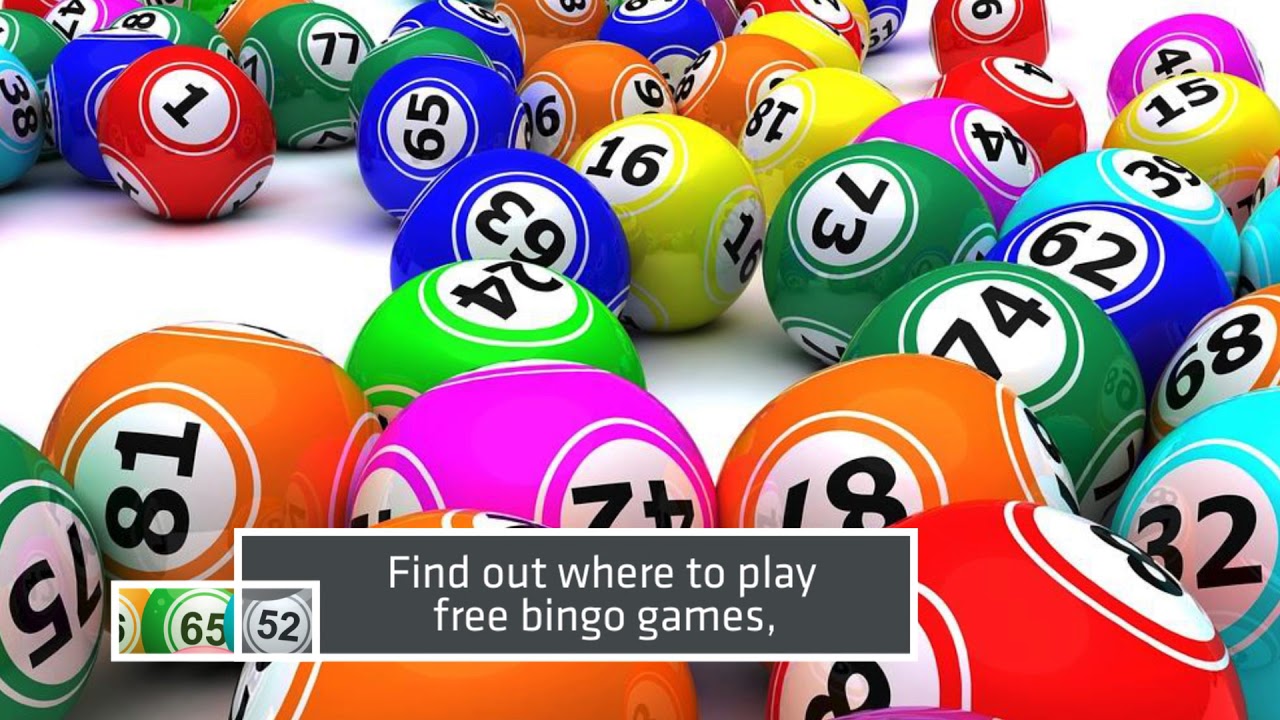 Bingo Games