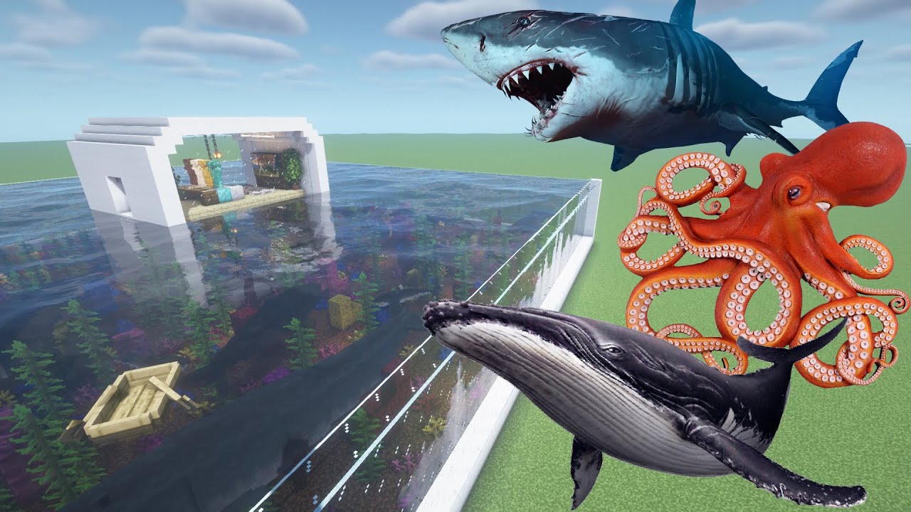 How To Make a Shark, Octopus, and Whale Farm in Minecraft PE