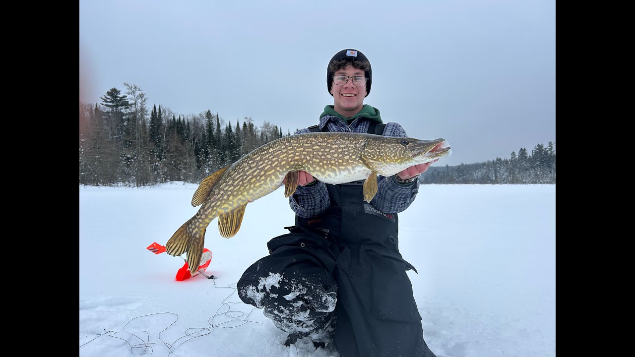 Tipup fishing MAYHEM in Northern Wisco 30+ fish day.