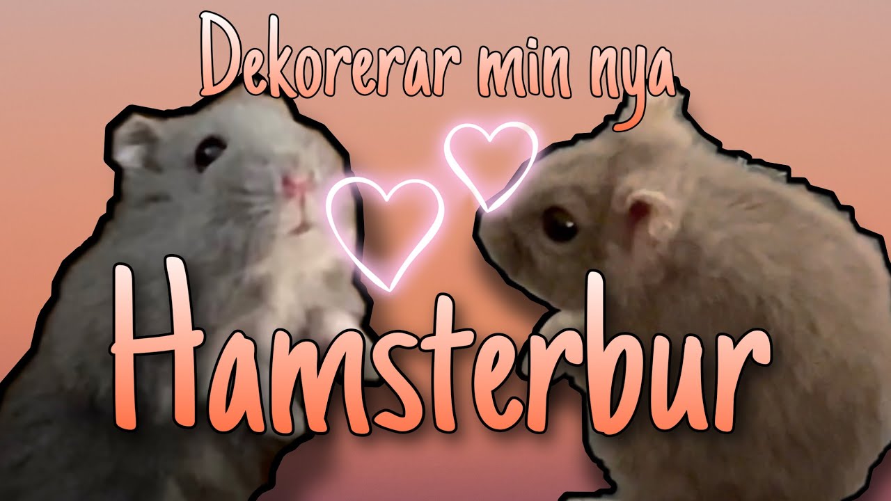 Dekorerar Min Nya Hamsterbur!