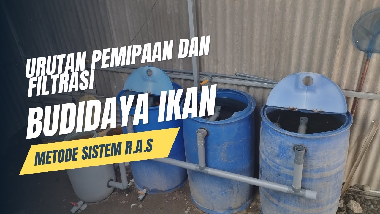 Urutan instalasi pemipaan budidaya ikan skala rumahan dengan sistem R.A.S.