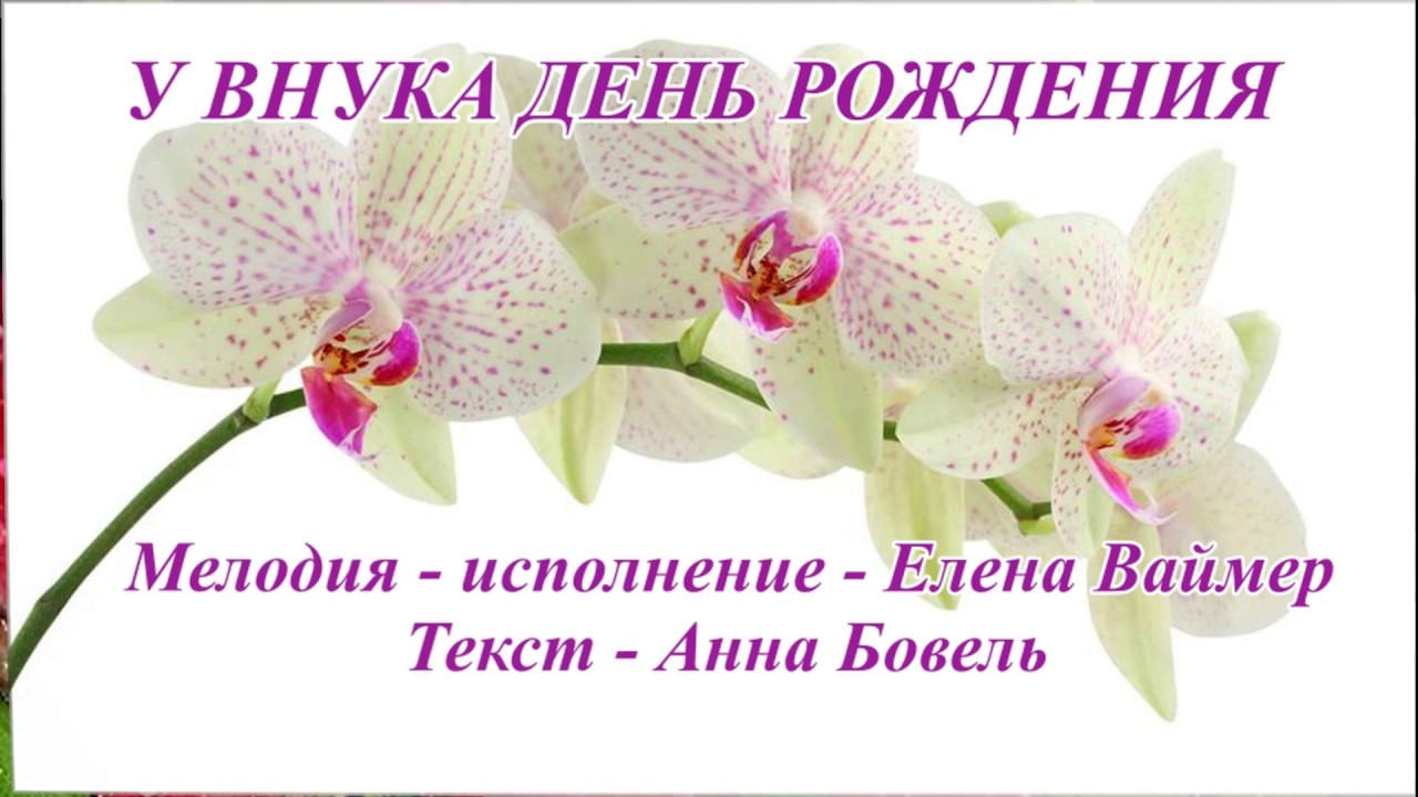 У внука день рождения. Елена Ваймер