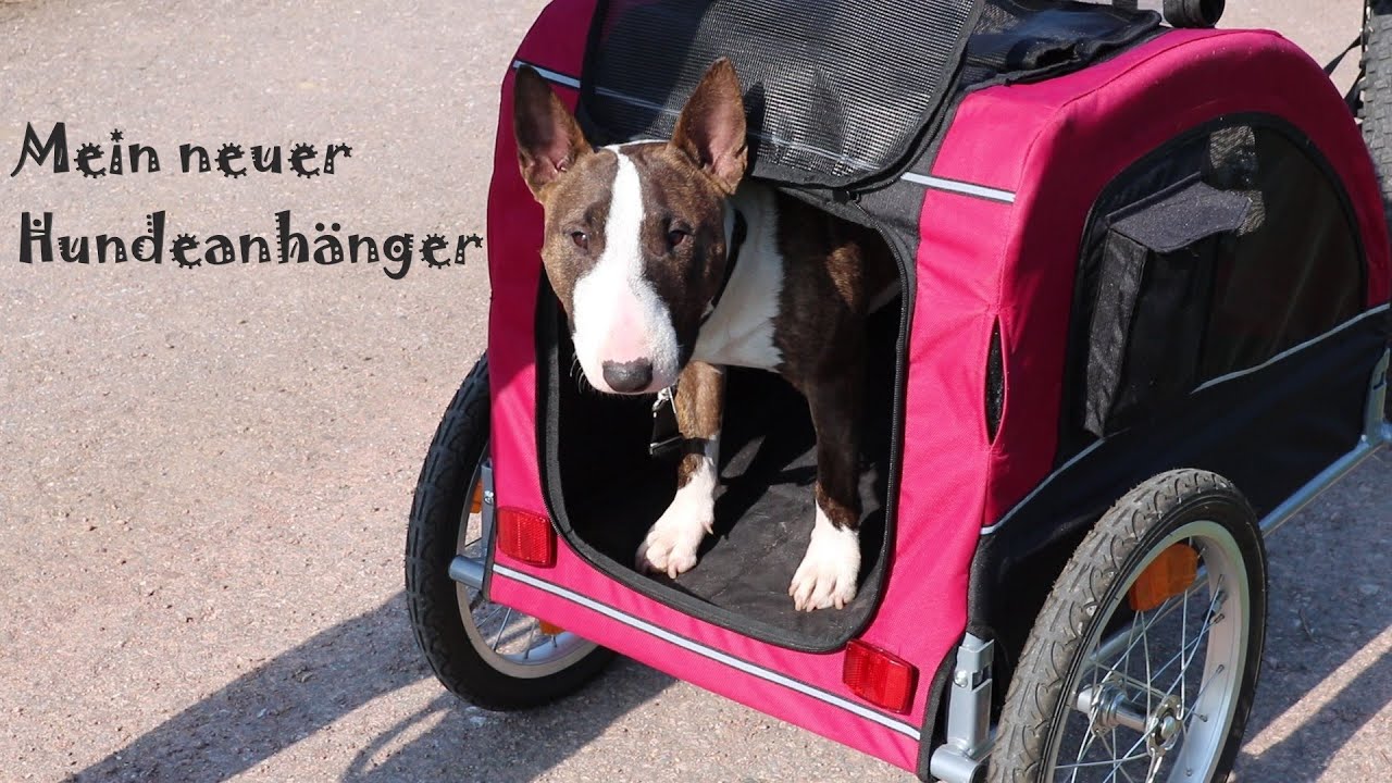 Wir stellen unseren neuen Fahrrad-Anhänger ( Hundeanhänger ) von  Trixie vor.