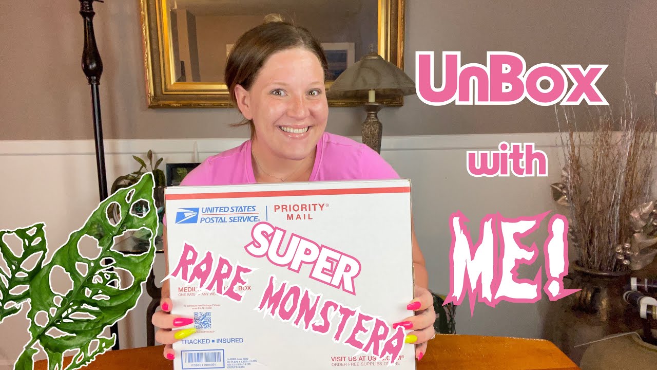 UnBox with ME! ||MONSTERA OBLIQUA PERU|| RARE Plant Unboxing!