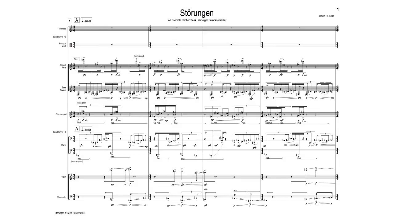 David Hudry : &laquo;&nbsp;St&ouml;rungen&nbsp;&raquo; (2011) - Extrait n&deg;&nbsp;1