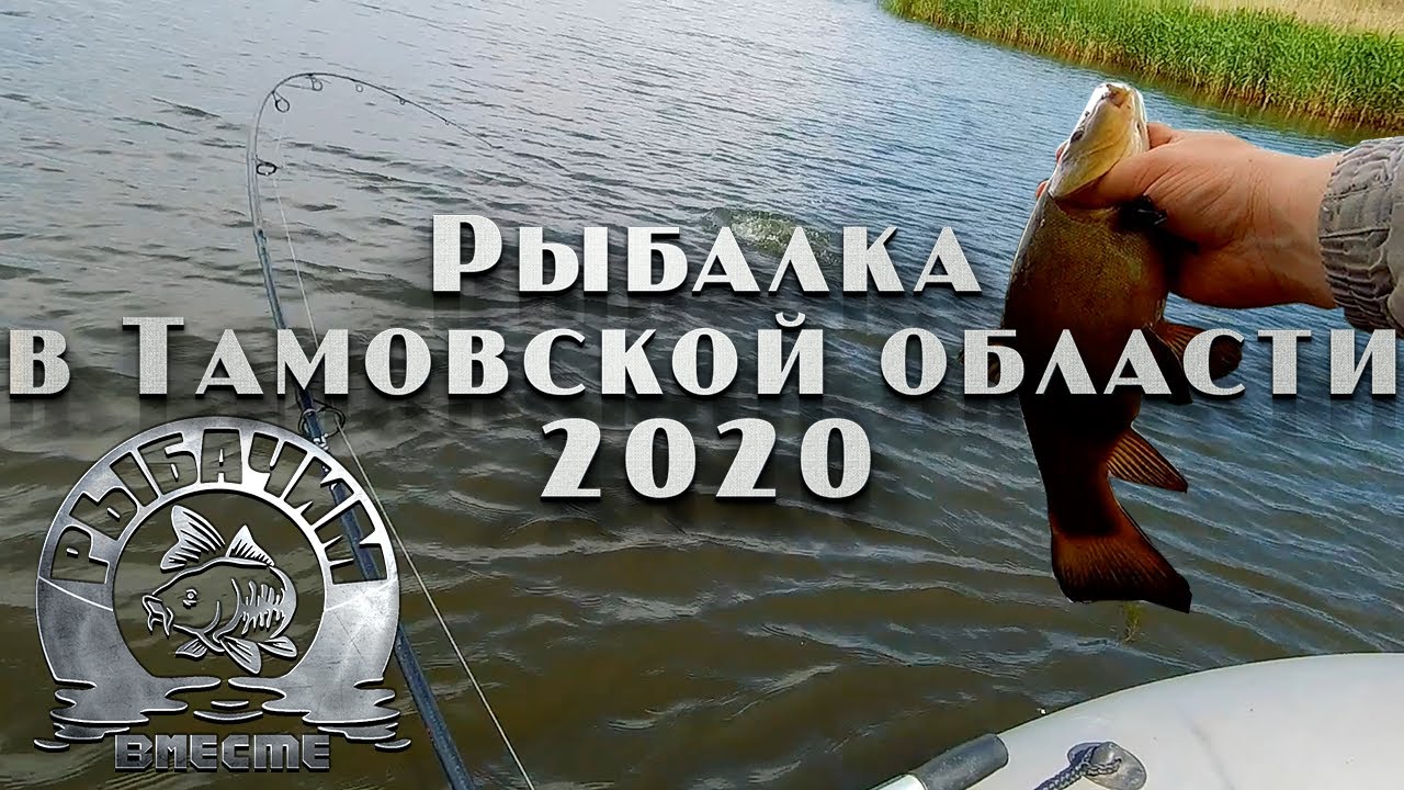 Рыбалка на спиннинг и поплавочную удочку летом. Тамбовская область. Щука, окунь, линь и прочее