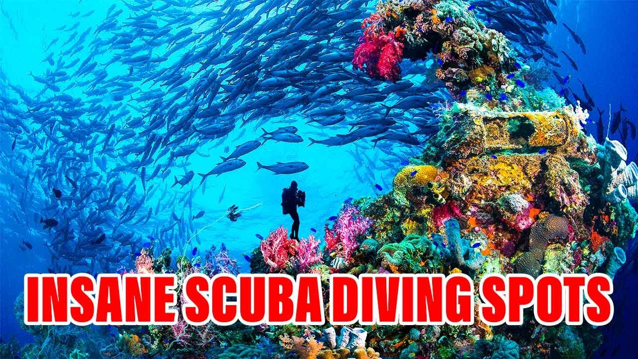 Scuba Diving Destinations You MUST Visit This Year!