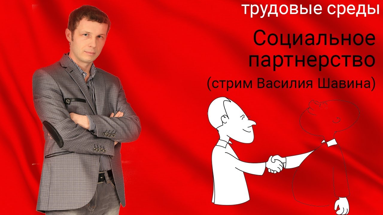 Социальное партнерство (стрим Василия Шавина)