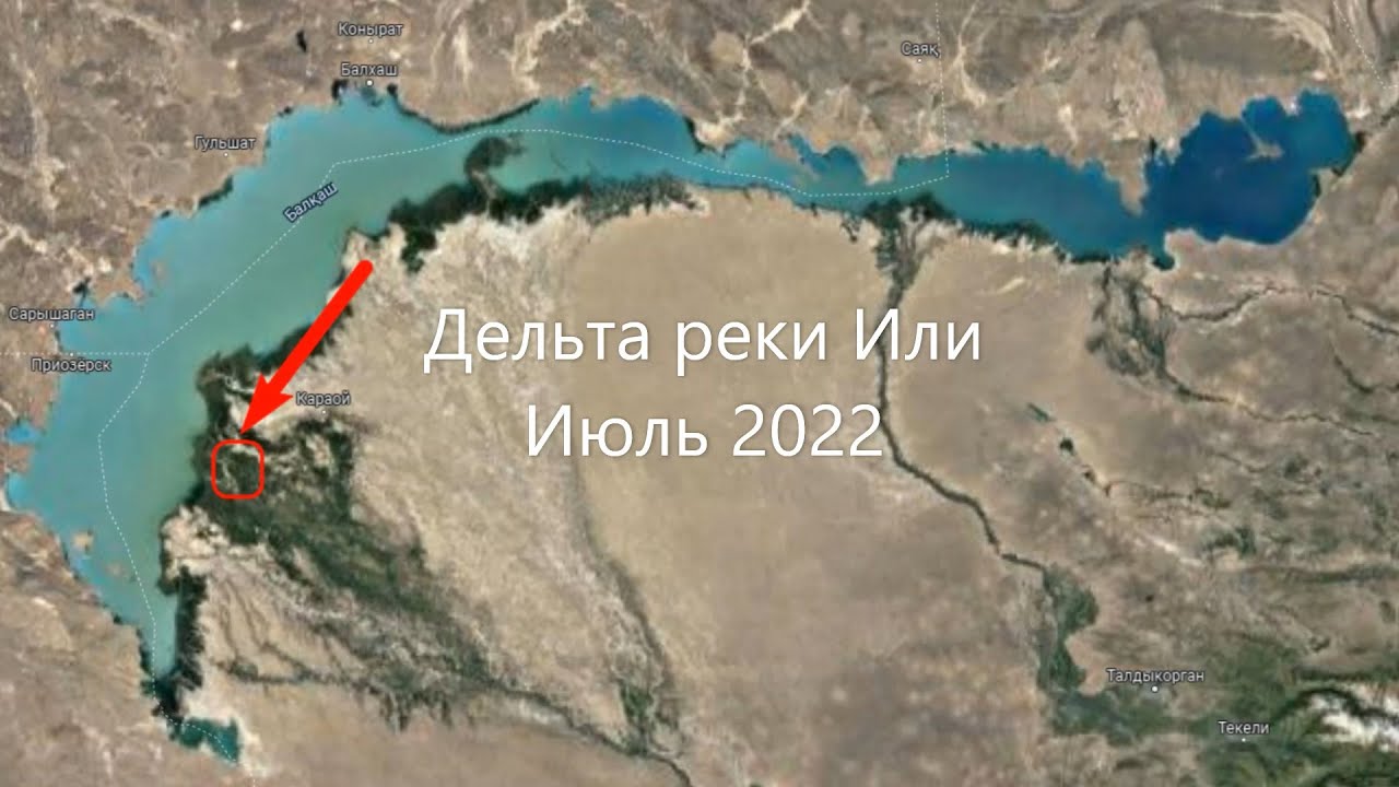 Дельта Реки Или - июль 2022