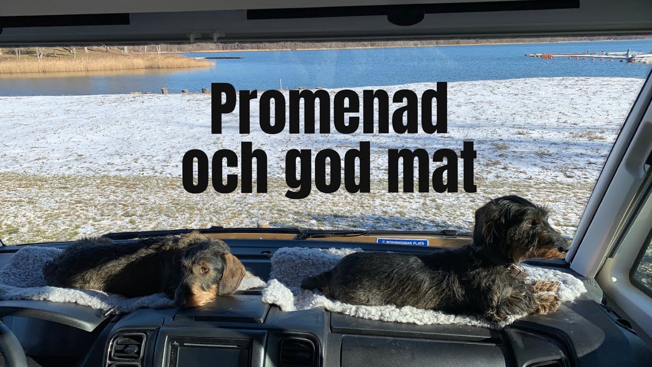 Husbilen mot Stegeborg #husbilochtaxar #husbil #bobil #hund #husbilsliv #motorhomelife #vanlife