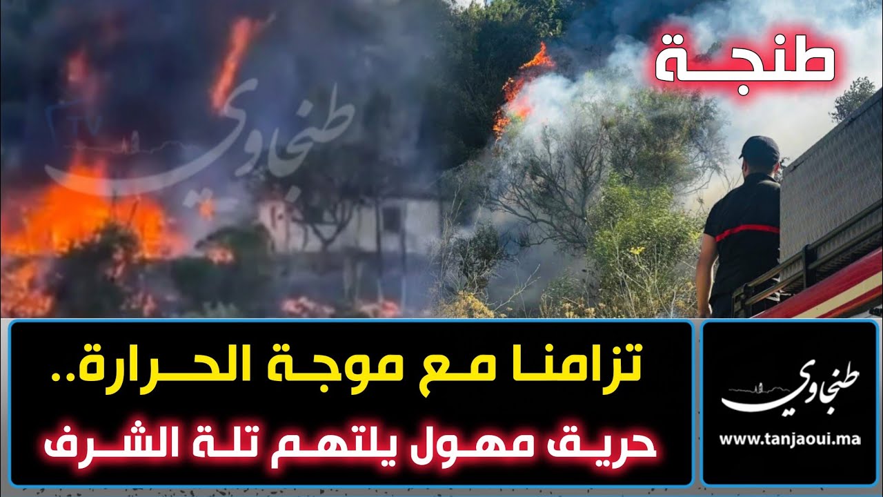 تزامنا مع موجة الحرارة.. حريق مهول يلتهم تلة الشرف بطنجة
