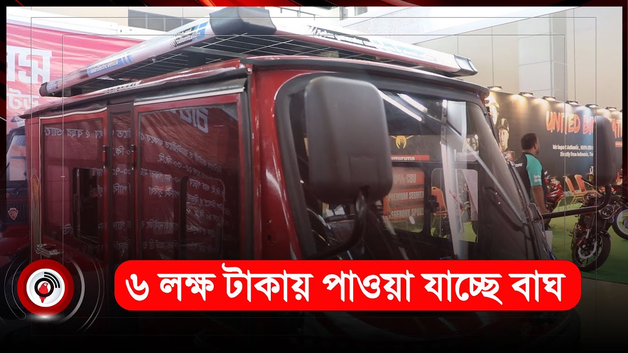 মাত্র ৬ লক্ষ টাকায় পাওয়া যাচ্ছে বাঘ