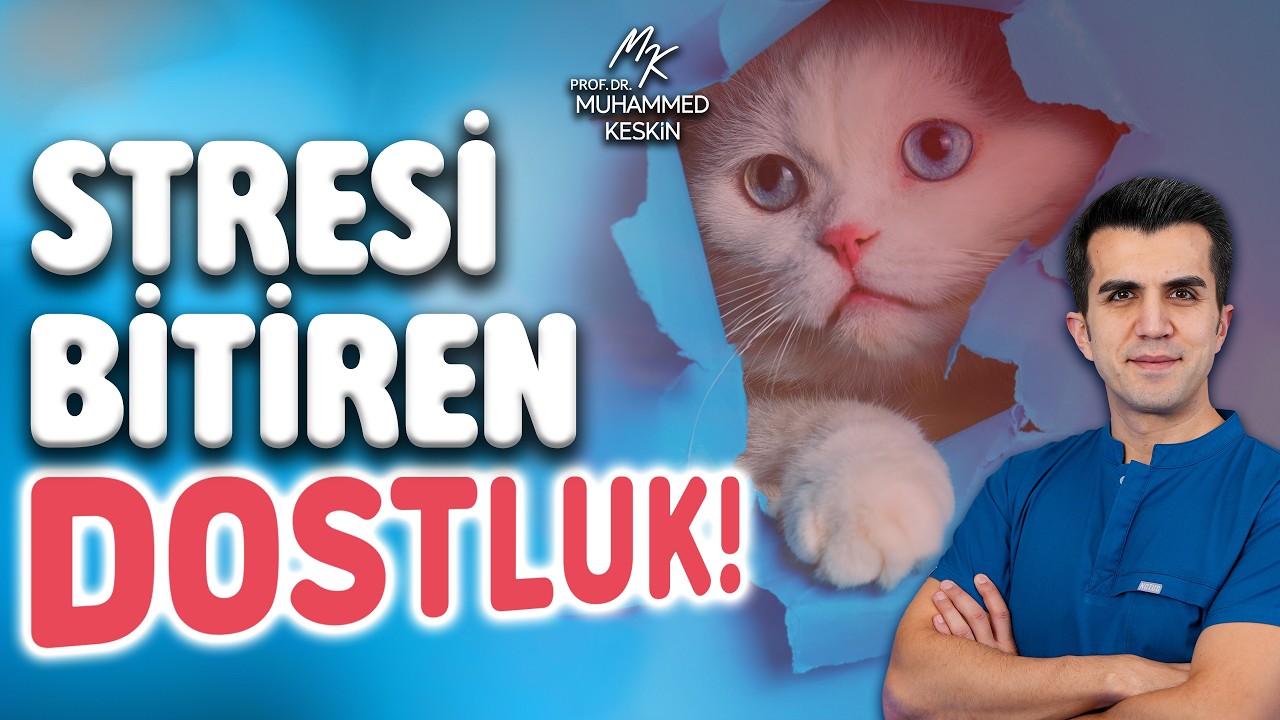 BİR KARDİYOLOG G&Ouml;Z&Uuml;YLE: EVCİL HAYVANLAR KALBİ KORUYOR MU?
