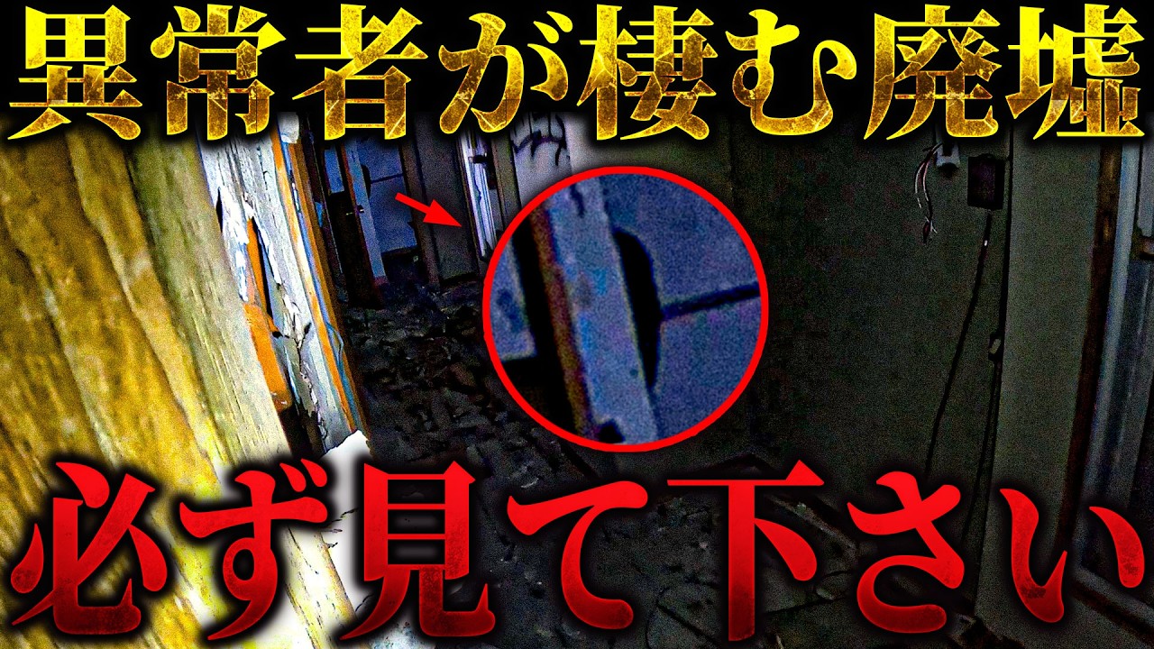 【心霊コラボ総集編】あそこに異常者がいる... 危険すぎる映像の連続につき「ご視聴には十分注意ください」【トリハダ×上野がいってきます。】
