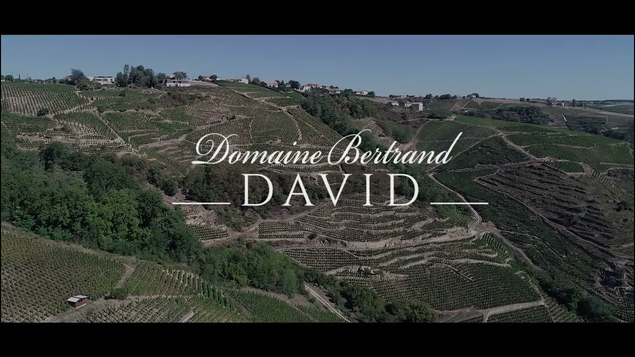 Domaine Bertrand DAVID - Côte Rôtie AMPUIS