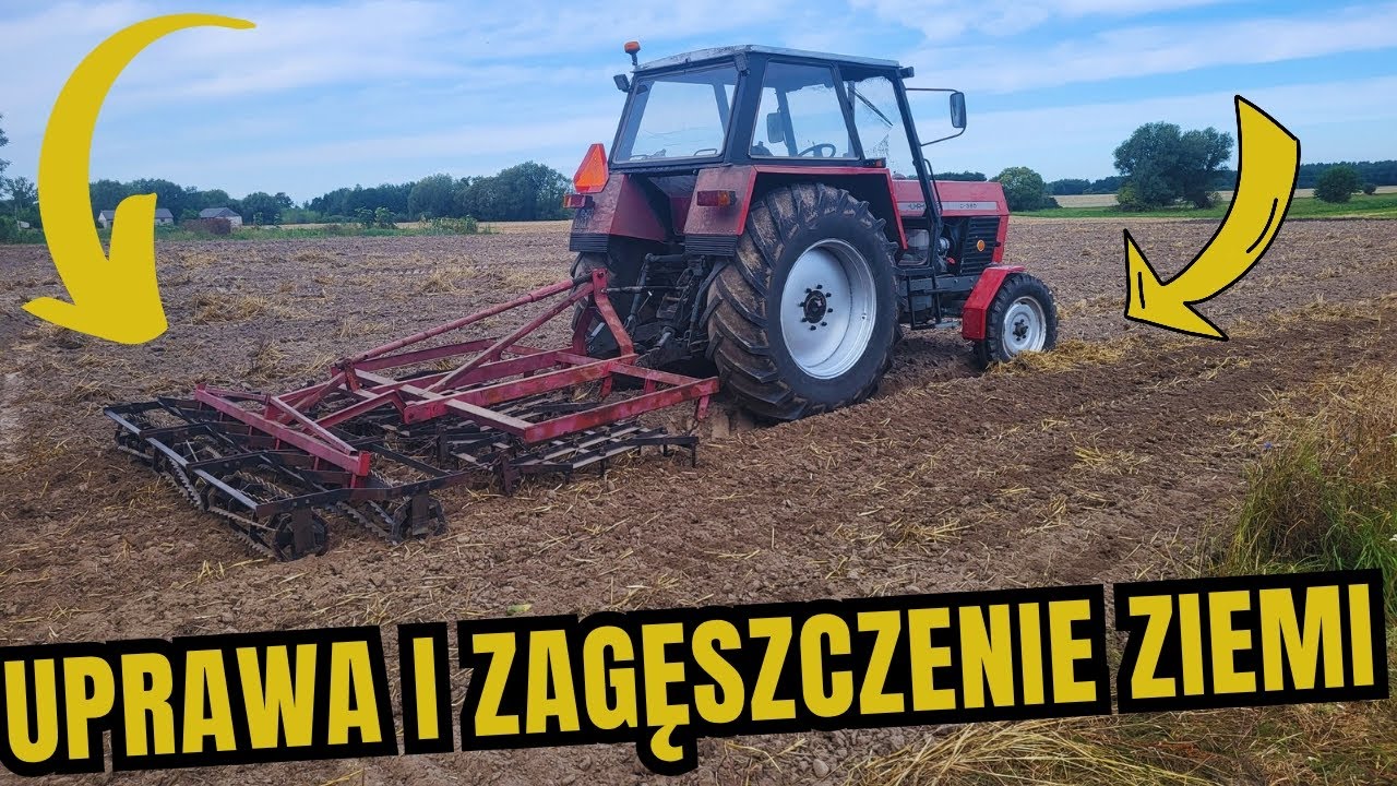 Uprawa i Zagęszczenie Ziemi pod siew RZEPAKU Ursus C385 z Ciężką broną
