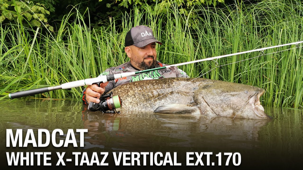 CANNE MADCAT WHITE X-TAAZ VERTICAL 170