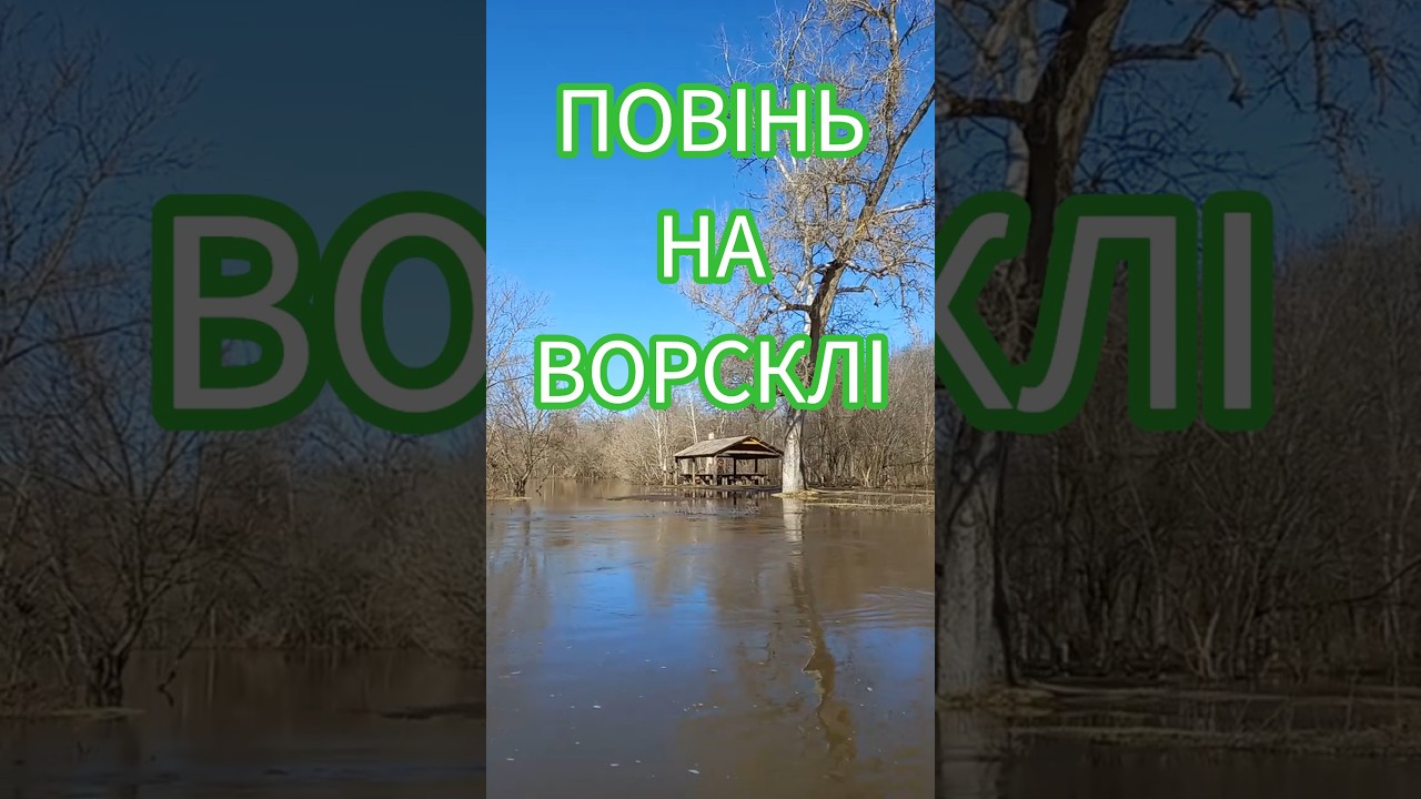 Повінь 2026. Ворскла. Н. Млини - Буланово #nature #spring #river