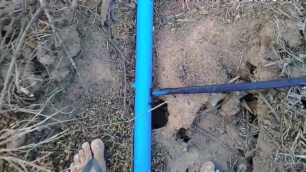 Irrigação gotejamento por gravidade