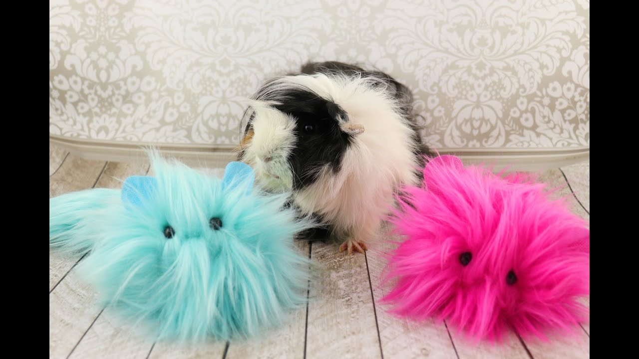Furball Friends Tutorial