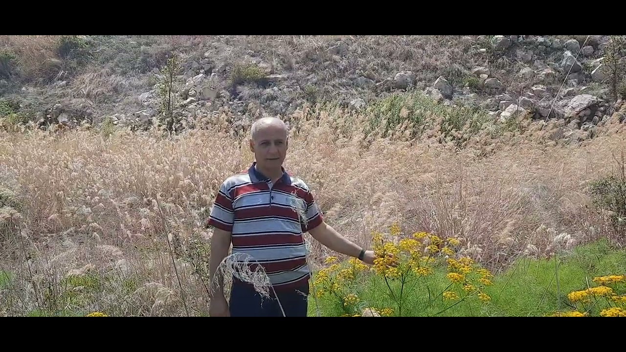 Shira  cinet  26/04/2025