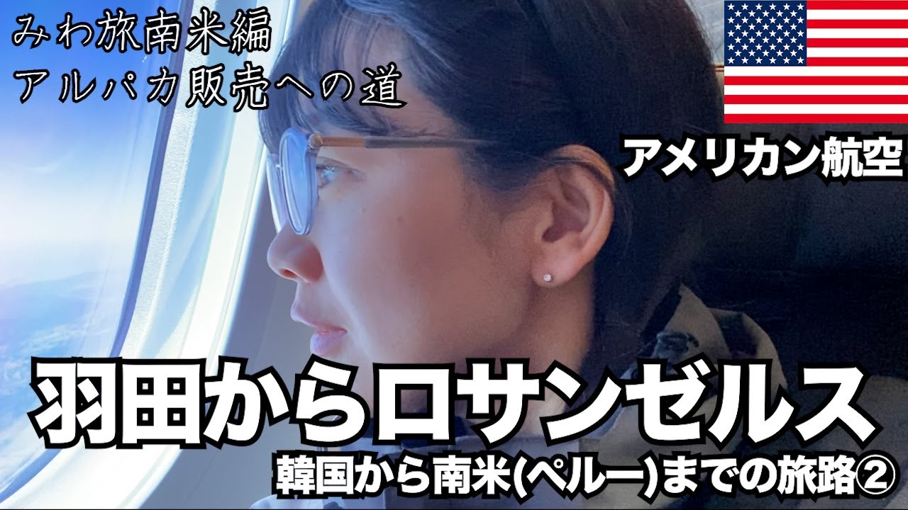 【韓国発アメリカ経由で南米へ②】アメリカン航空でロスまで(明け方の景色& 物価調査& 飲まず食わずの待機...編) アルパカのお人形販売への道