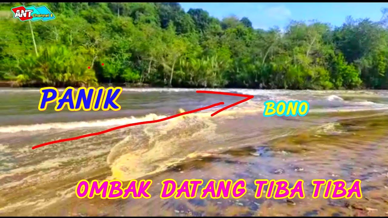 D3tik2 ombak datang tiba tiba bikin merind1ng soperti ombak bono kampar