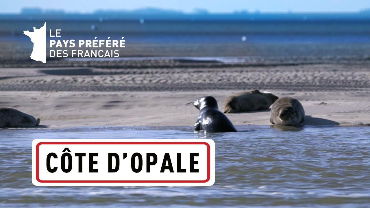 La Côte d'Opale, des Deux-Caps aux marais de Saint-Omer - Les 100 lieux qu'il faut voir