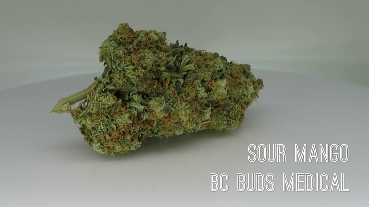 BCBM Sour Mango