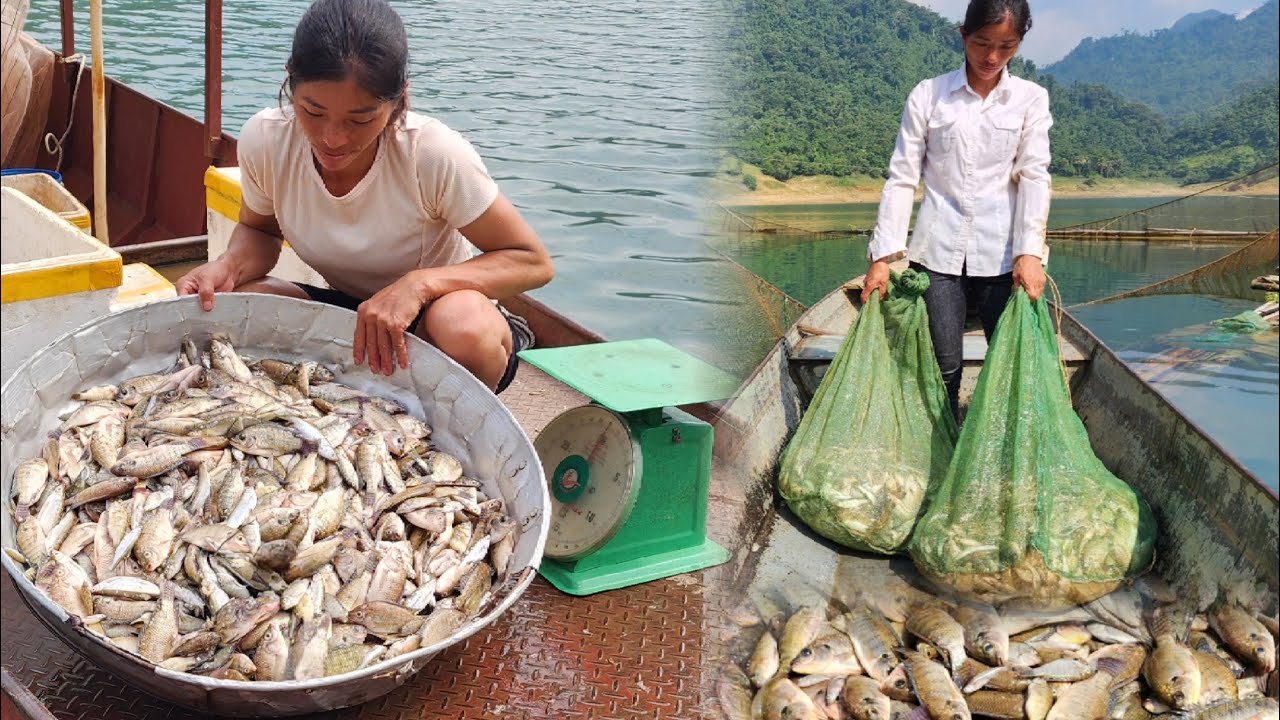 FULL VIDEO: fishing girl survives on deserted island,on lake, traps fish, makes a living from forest