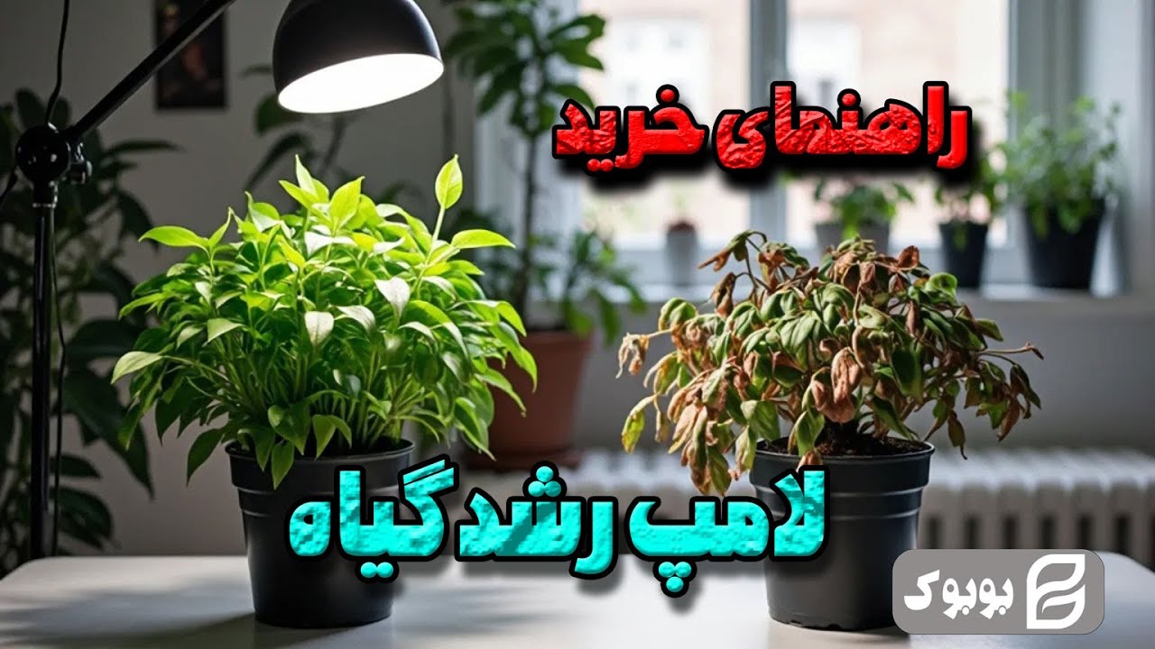 راهنمای خرید لامپ رشد گیاه