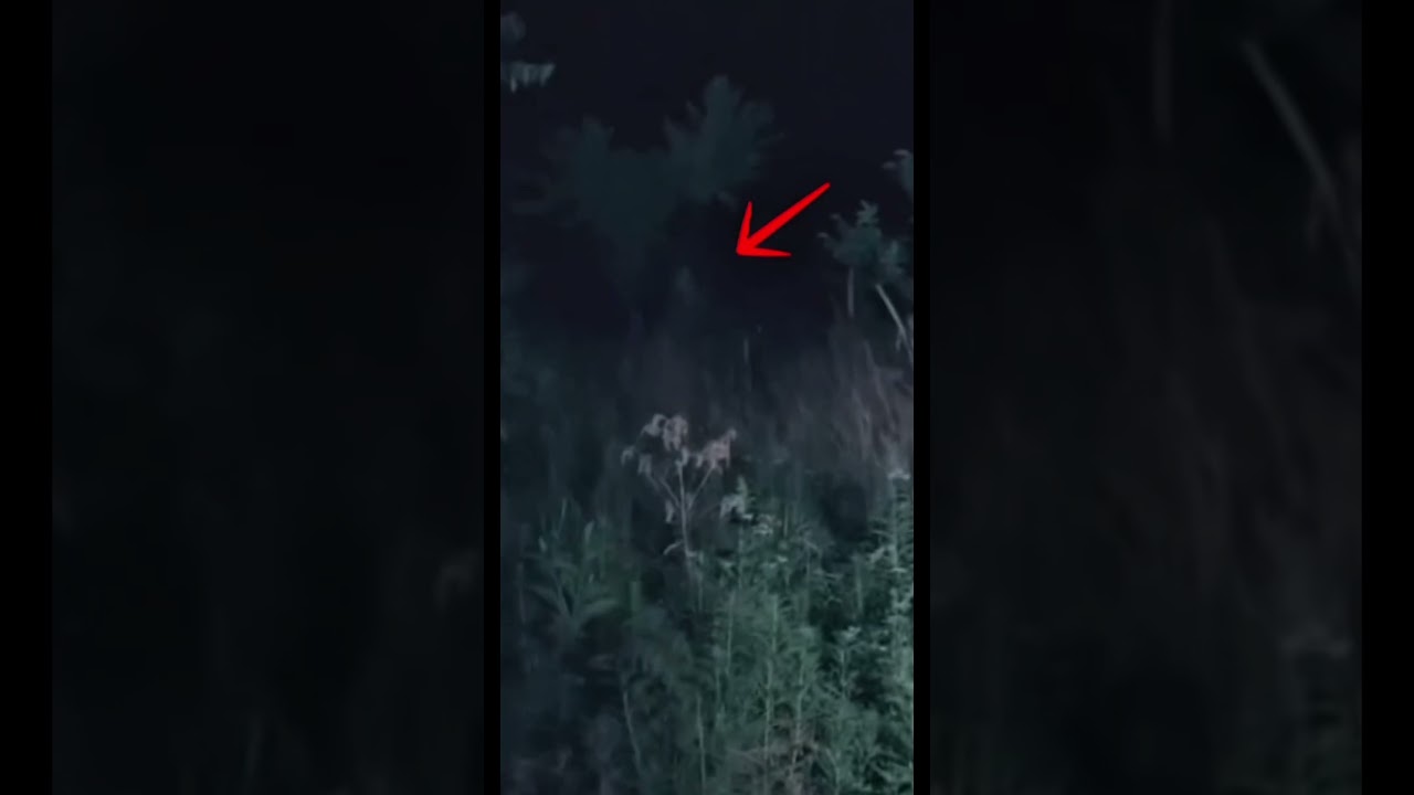 Tegnapi live r&eacute;szlet amit mi se vett&uuml;nk &eacute;szre😱