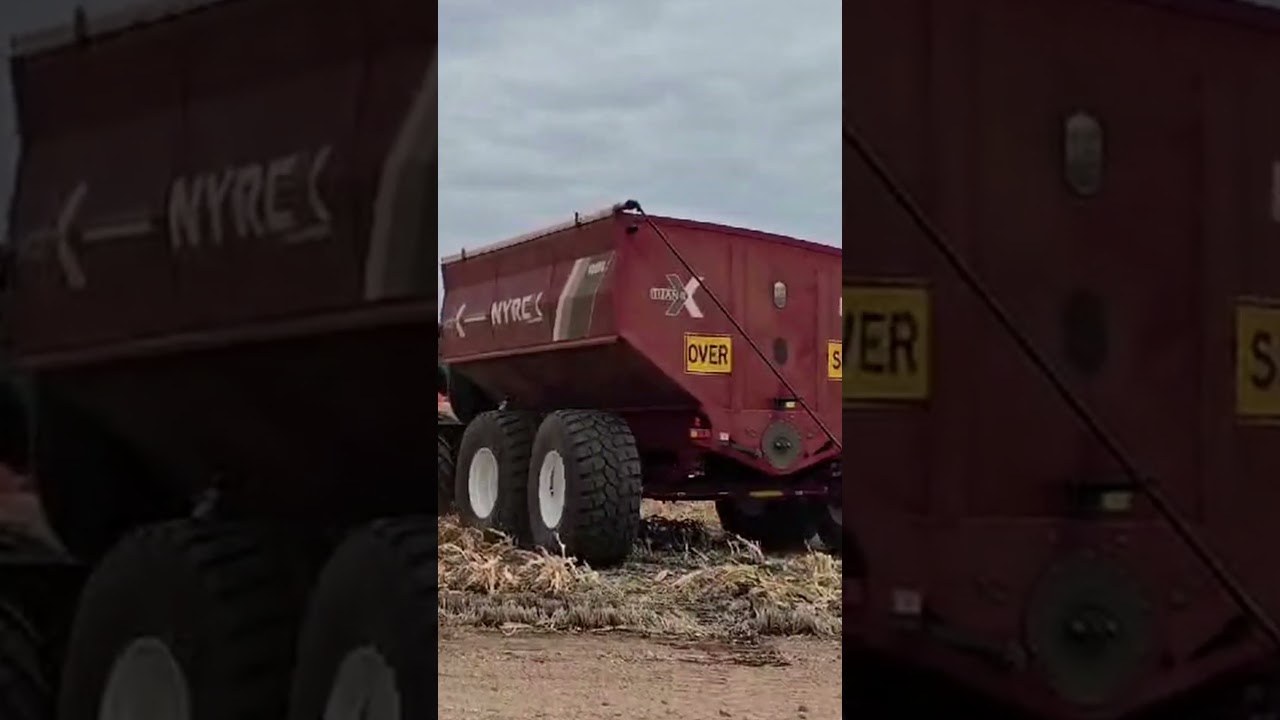 GrainKing Chaser Bin on 4m Centres! #youtubeshorts #shortsvideo #farmingvideos #farming