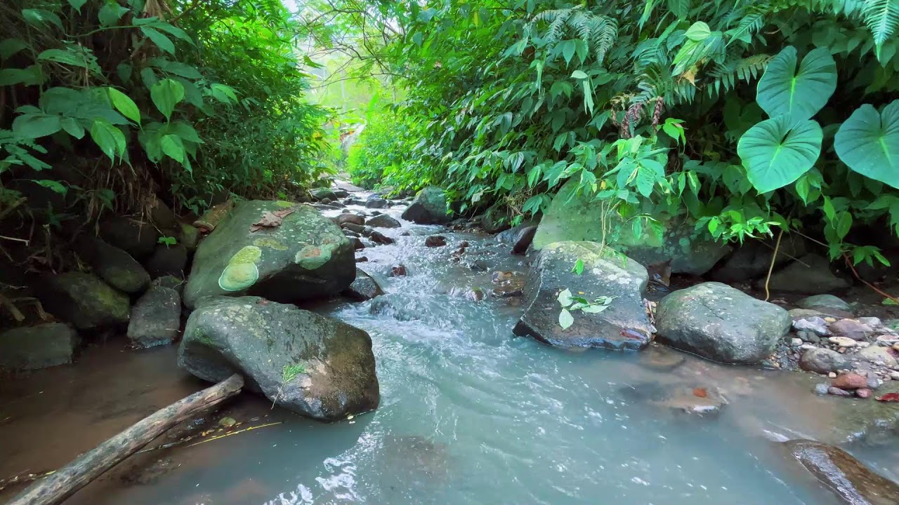 No Music - Constant Natural Water Sounds for 10 Hours