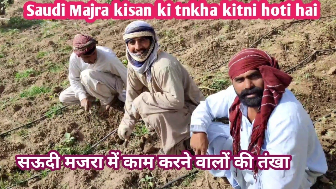 Saudi Arab Majra | सऊदी अरब खेत में काम करने वालों की तंखा | Kisaan Farming in Saudi | Vlog Ask