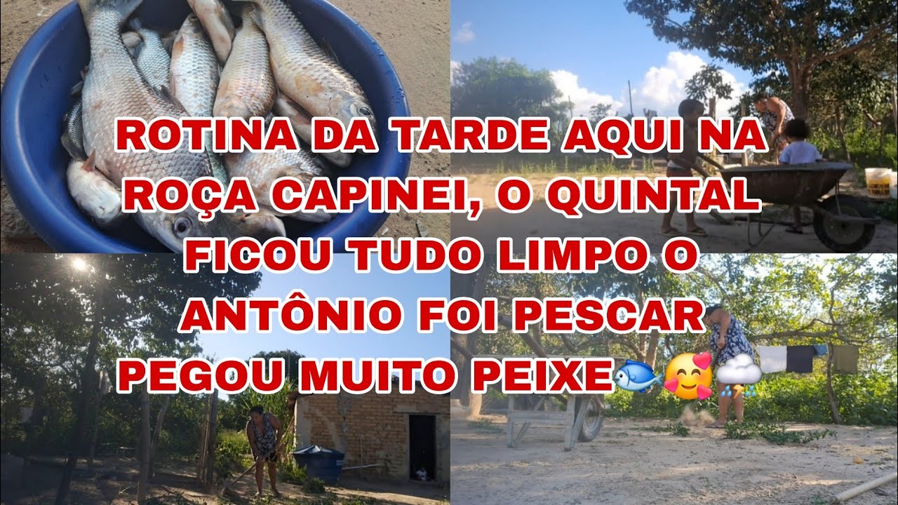 ROTINA 🥰👨‍👩‍👧‍👧AQUI NA ROÇA, LIMPEZA NO QUINTAL ESTAVA MUITO SUJO.