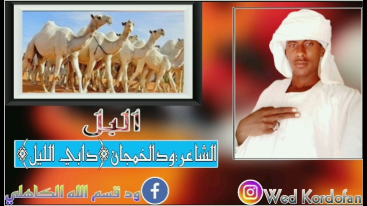 الشاعر: ودالخمجان (دابي الليل)  (البل)