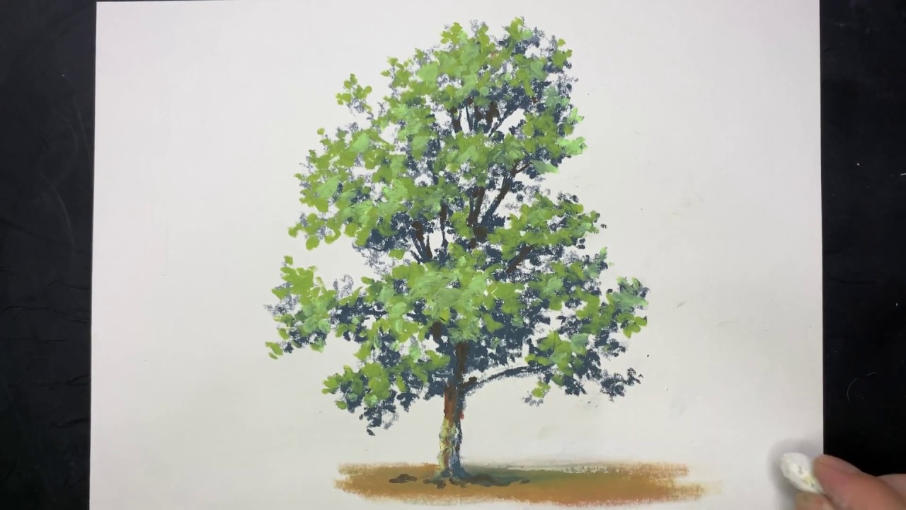 오일파스텔로 나무 그리기 Drawing Tree With Oil Pastel