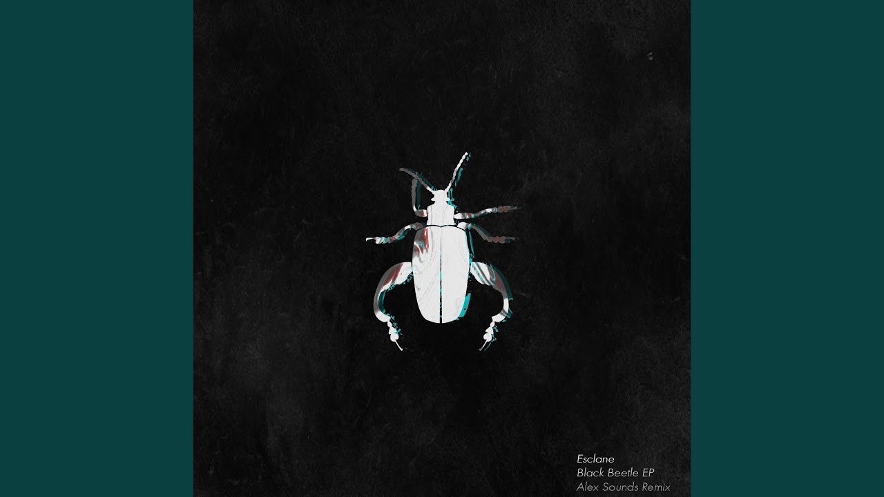 Black Beetle (Original Mix)