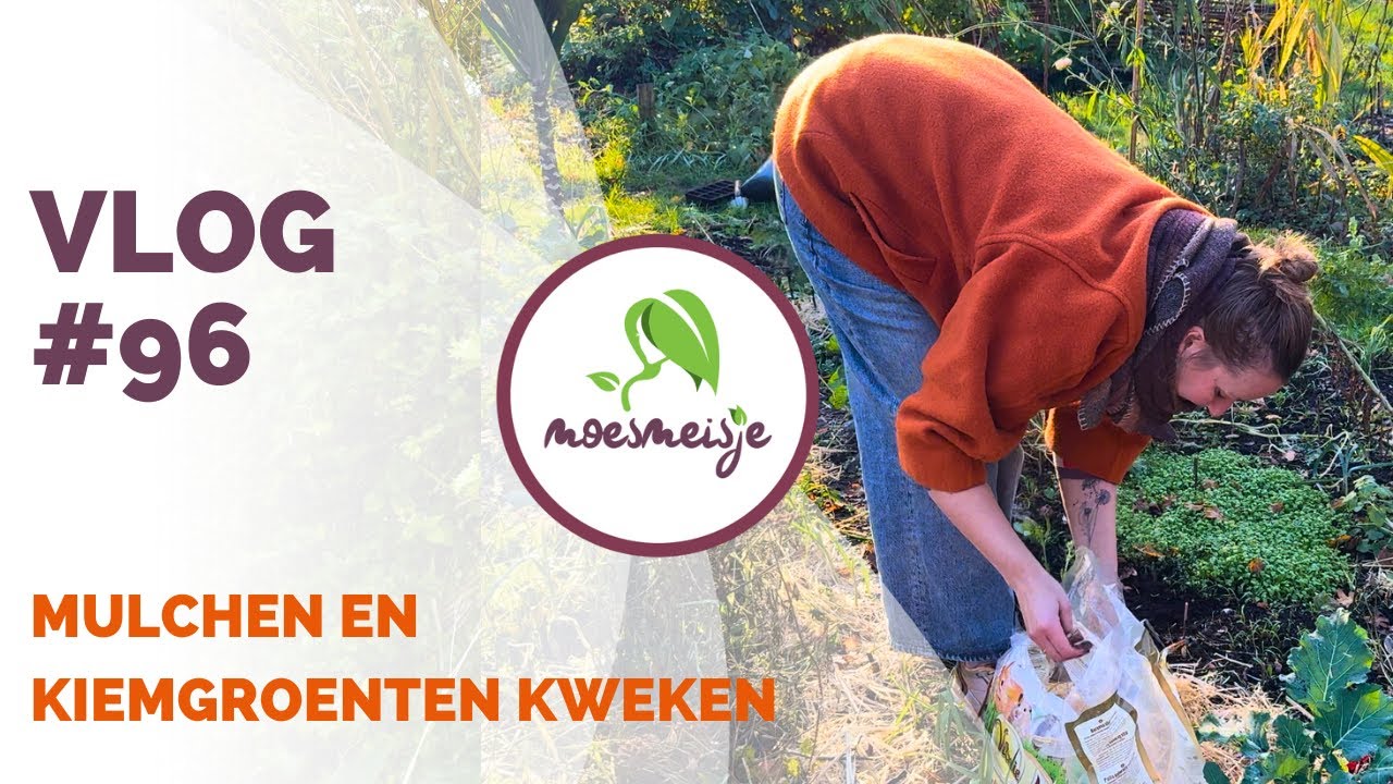 MOESTUINVLOG #96 | Mulchen, paddenstoelen en kiemgroenten kweken en je kunt mijn boek pre-orderen📗👏🏼