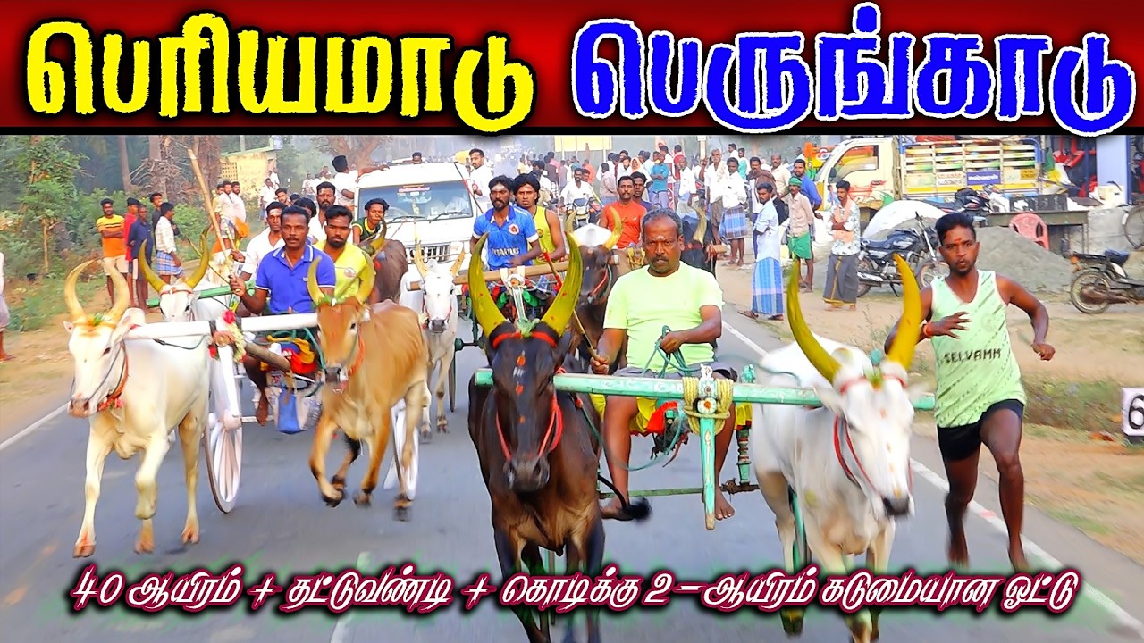 பெருங்காடு பெரியமாடு பந்தயம் சிறப்பு பரிசு தட்டுவண்டி #perai_raj_digital #reklarace2026