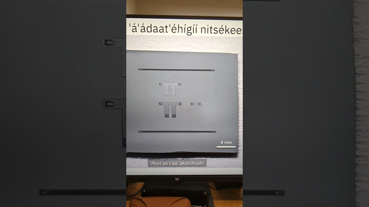Квантовое образование на языке навахо от Онри Джея Беналли #языкнавахо #din&eacute;bizaad #навахо
