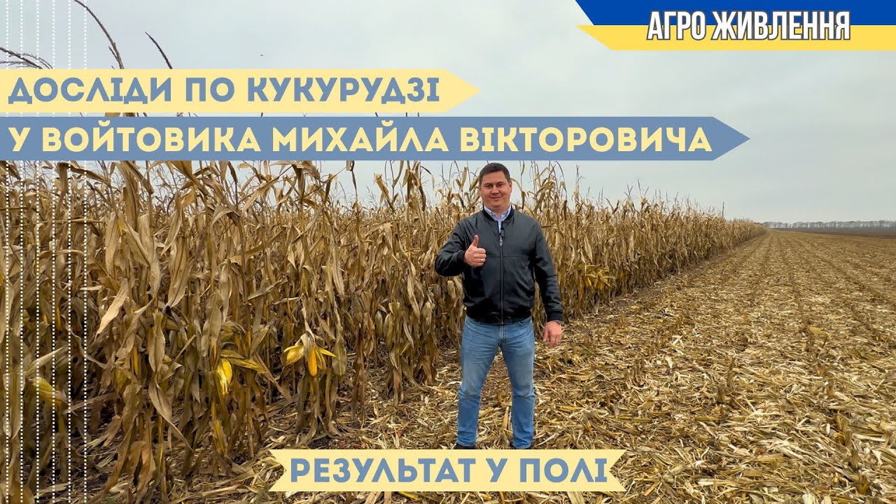 CULTAN по кукурудзі  2025 р. Войтовика Михайла Вікторовича частина 3 жнива)))