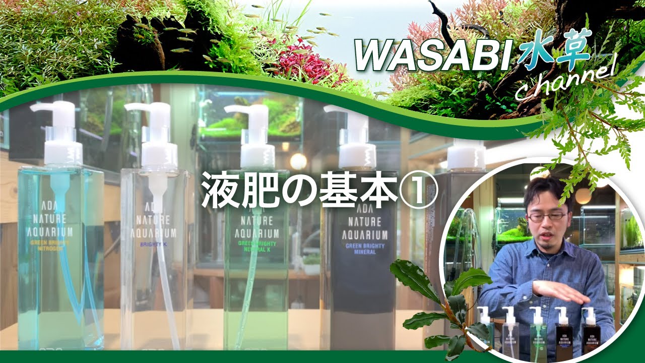 水草水槽の液肥の使い方 基本①「まずは液肥の種類を知ろう」～How to provide aquatic plants with fertilizers 水草水槽ノウハウ