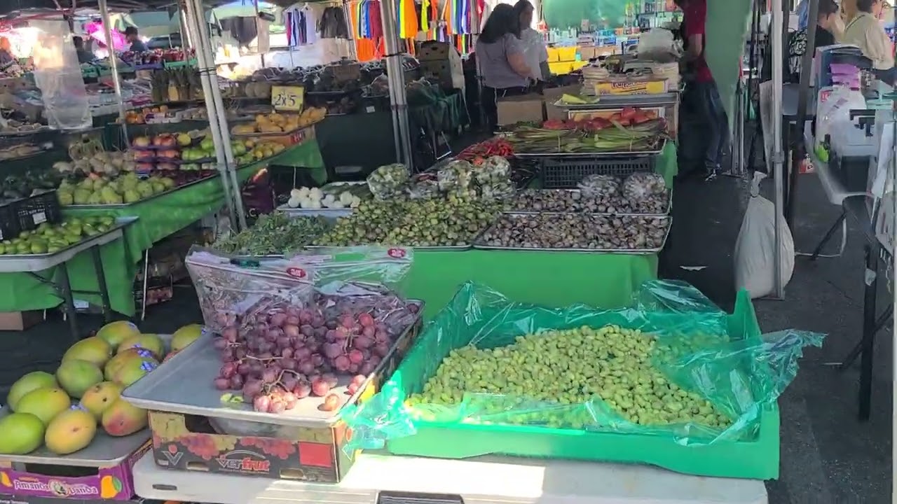 El tianguis por el valle de san fernando California 