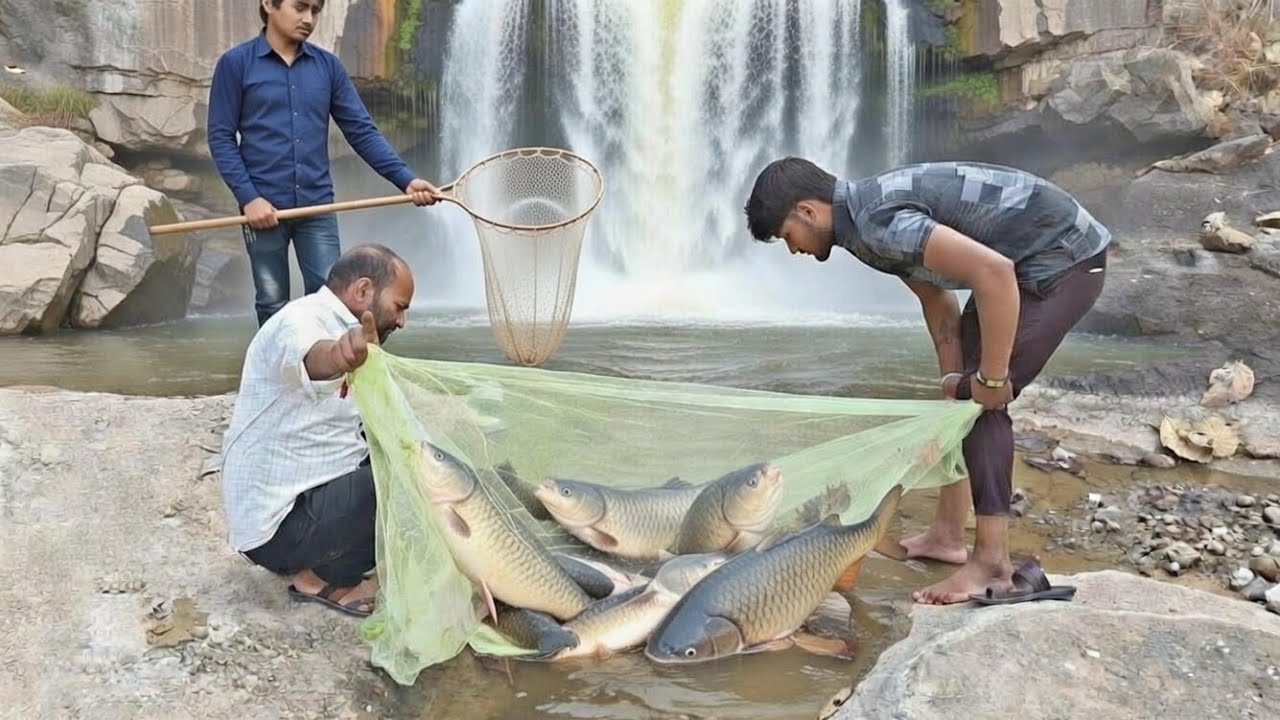 Forest solo survival fhish hunting🐠 ll how to chota fish hunting