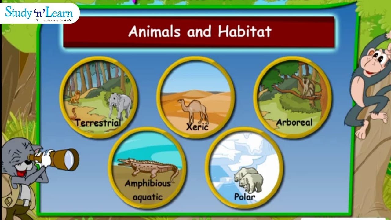Adaptations in Animals | Habitats | Terrestrial Aquatic | Class 4