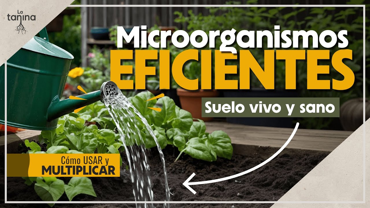MICROORGANISMOS Eficientes (EM): Aumenta la fertilidad de tu suelo (Guía completa)